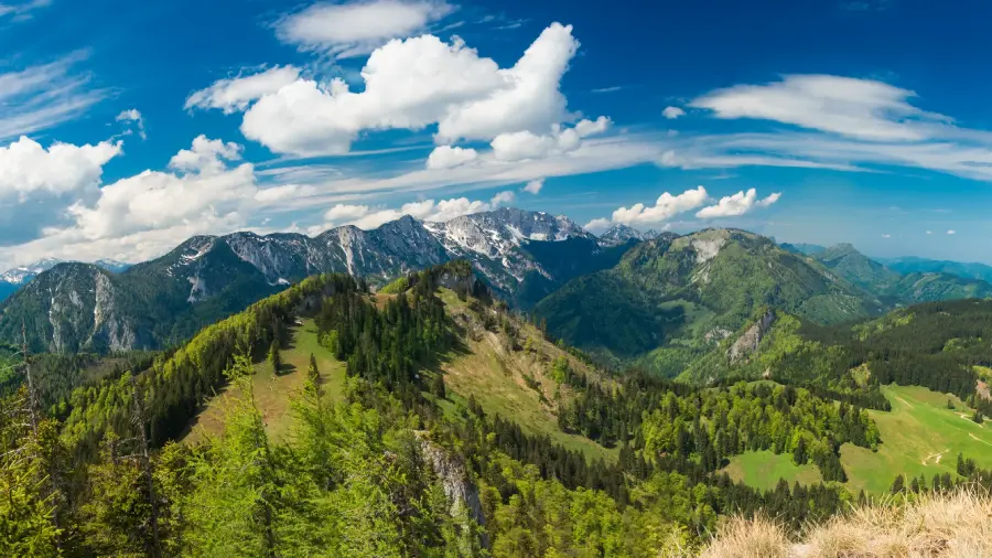 Alpen Panorama